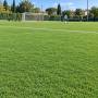 SPORTS Pelouse