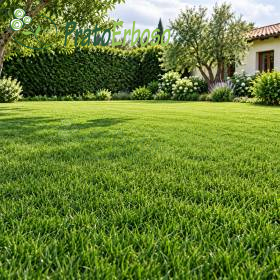 Prato CLASSICO verde e folto in giardino curato con siepe, alberi e aiuole fiorite