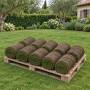 5 m2 of ready-made lawn in rolls
