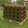 20 m2 of ready-made lawn in rolls