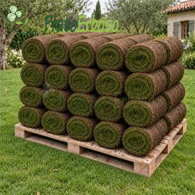Rouleaux de gazon prêt à poser empilés sur palette dans un jardin méditerranéen