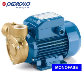 PQm 60-Bs - Pompe électrique avec roue périphérique monophasée de 0,40