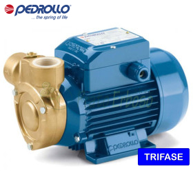 PQ 60-Bs - Pompe électrique avec roue périphérique triphasée de 0,40 CV Pedrollo - 1