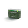 Dicondra Repens - 100g Lawn Seed