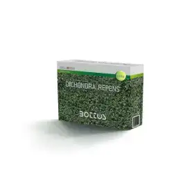 Dichondra Repens - Lawn Seed 100g