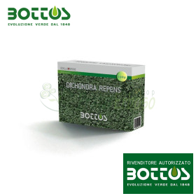 Dichondra Repens - Sementi per prato da 100 g