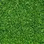 CLASSIC lawn Prato Erboso - 1