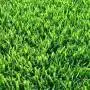 SUPER Meadow Prato Erboso - 2