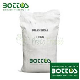 Chiendent commun - 10 kg de graines à gazon