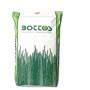 Dicondra Repens - 5 kg Lawn Seed