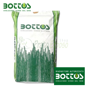 Dicondra Repens - Sementi per prato da 5 kg