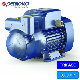 Pompe électrique à anneau liquide triphasée auto-amorçante CK 50 - 0,50 CV Pedrollo - 1