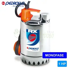 RXm 4 - Pompe électrique monophasée 1 HP pour eau claire RXm 4 - Pompe électrique monophasée 1 HP pour eau claire