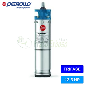 6PD/12,5 – 6 Zoll 12,5 PS dreiphasiger wiederwickelbarer Motor