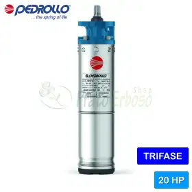 6PD/20 - 6" 20 HP three-phase rewindable motor