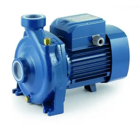 HFm 5AM - Électropompe centrifuge monophasée 2 HP Pedrollo - 1