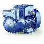 CKm 50-BP - 0.33 HP single-phase self-priming liquid ring electric pump Pedrollo - 1