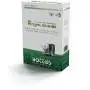 Royal Blend - Sementi per prato da 1 kg