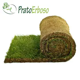 10 m2 de césped preparado en rollos Prato Erboso - 1