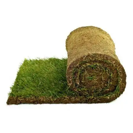 10 m2 Fertigrasen in Rollen Prato Erboso - 1