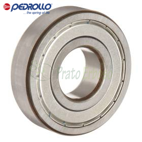 6309 ZZ-C3 - Kushineta topash 45x100x25 mm Pedrollo - 1