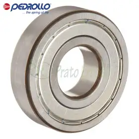 6309 ZZ-C3 - Kushineta topash 45x100x25 mm Pedrollo - 1