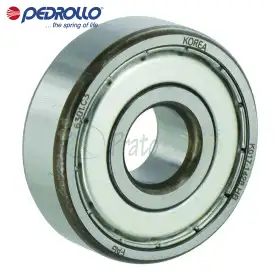 6310-ZZ-C3 - Roulement à billes 50x110x27 mm Pedrollo - 1