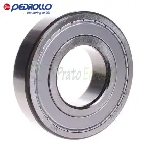 6313 ZZ-C3 - Roulement à billes 65x140x33 mm Pedrollo - 1