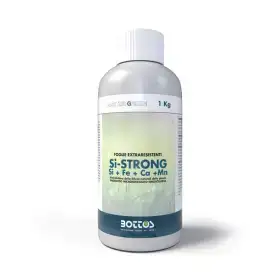 Si-STRONG - Bioinducer of natural defenses 1 Kg