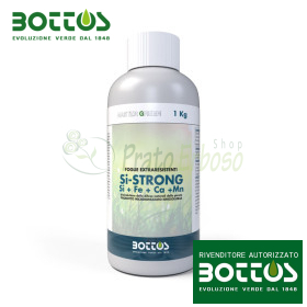 Si-STRONG - Bioinducteur de défenses naturelles 1 Kg