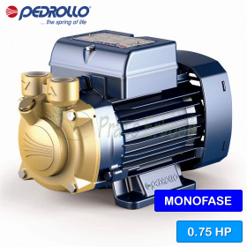 PVm 65 - Pompë elektrike me shtytës periferike njëfazore 0,75 HP Pedrollo - 1