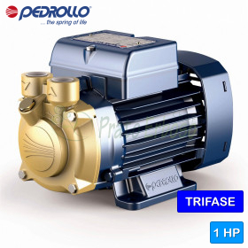 PV 70 - Pompe électrique avec roue périphérique triphasée de 1 HP Pedrollo - 1 PV 70 - Pompe électrique avec roue périphérique triphasée de 1 HP Pedrollo - 1