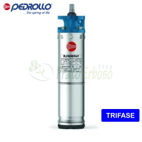 6PD/50 - Moteur triphasé 6" 50 HP rebobinable