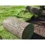 200 m2 of ready-made lawn in rolls Prato Erboso - 2