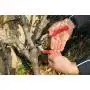 Felco 13 - Reb-und gartenscheren schneiden 30 mm Felco - 6