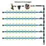 Kit-Vegetable-Garden-Pro – Professionelles Gemüse- und