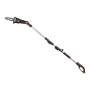 WG349E - 20V Battery-Powered Telescopic Pruner