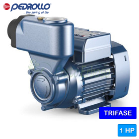 PKS 80 – Selbstansaugende Elektropumpe mit 1 PS dreiphasigem Peripherlaufrad Pedrollo - 1 PKS 80 – Selbstansaugende Elektropumpe mit 1 PS dreiphasigem Peripherlaufrad Pedrollo - 1