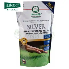Plata - 1,2 kg de semillas de césped