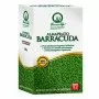Almaprato Barracuda - 500g Rasensamen