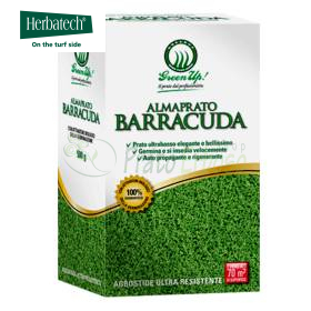 Almaprato Barracuda – 500 g Rasensamen