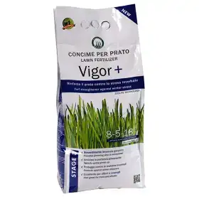 Vigor Plus - 4 kg Rasendünger