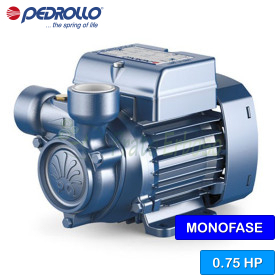 PQm 65 - Pompe électrique avec roue périphérique monophasée de 0,75 CV