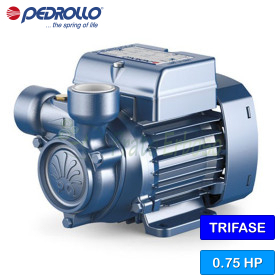 PQ 65 - Elettropompa con girante periferica trifase da 0.75 HP