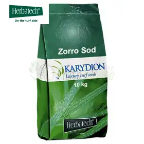 Zorro Sod - Sementi per prato da 10 kg