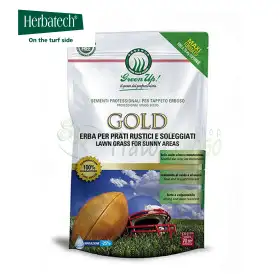Gold - 1,2 kg Rasensamen