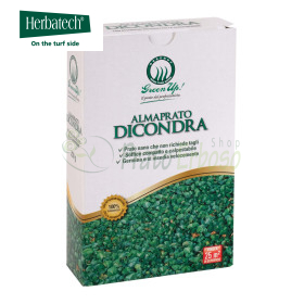Almaprato Dicondra - Semences à gazon 250 g