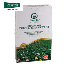 Semințe de gazon Almaprato Trifoi și Margarete - 250g