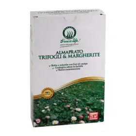 Semințe de gazon Almaprato Trifoi și Margarete - 250g