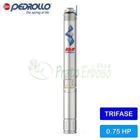 3SR 1/31 - 0.75 HP three-phase submersible electric pump Pedrollo - 1